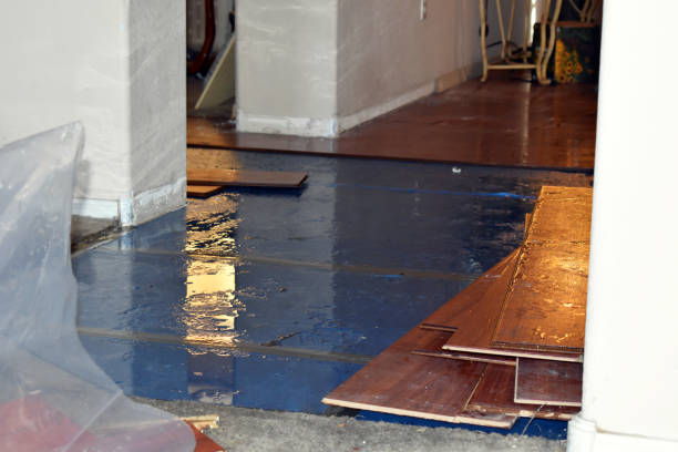Professional Basement Water Removal technician working in Hood, CA